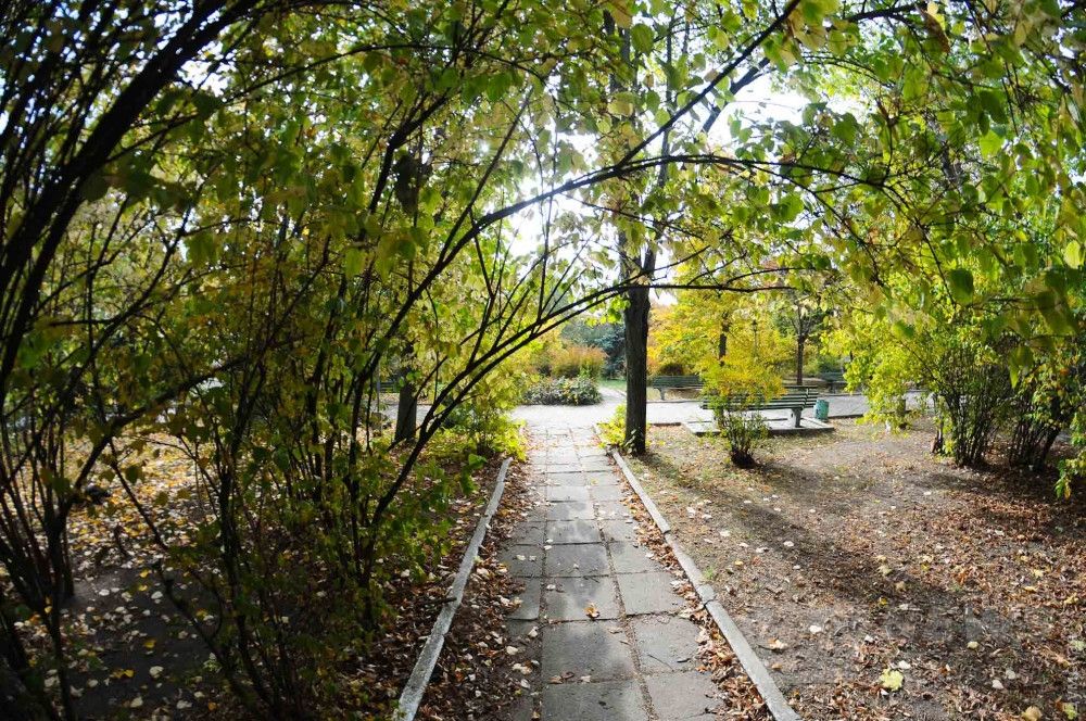 Маленький, но уютный парк уничтожат