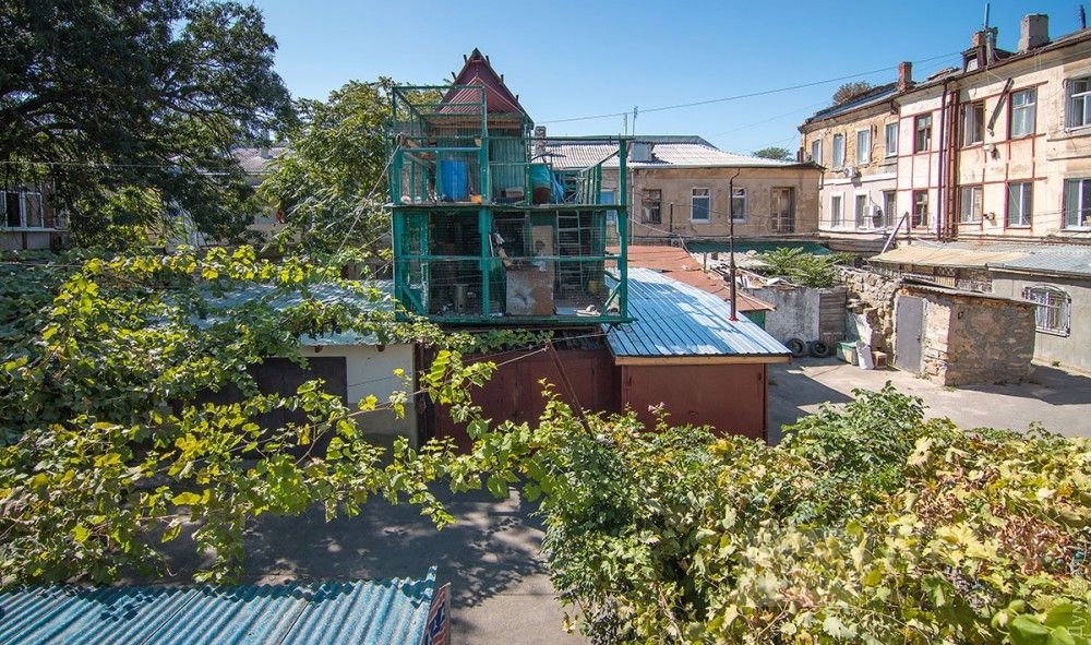 Голубятня во дворе Мишки Япончика