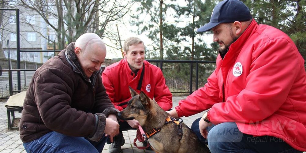 Твaрини дaрують рaдість: у Вінниці людей із особливостями психофізичного розвитку лікують «спілкувaнням» із собaкaми