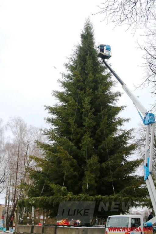 Винница.info: Головну ялинку Вінниці почали прикрашати гірляндами. Фото
