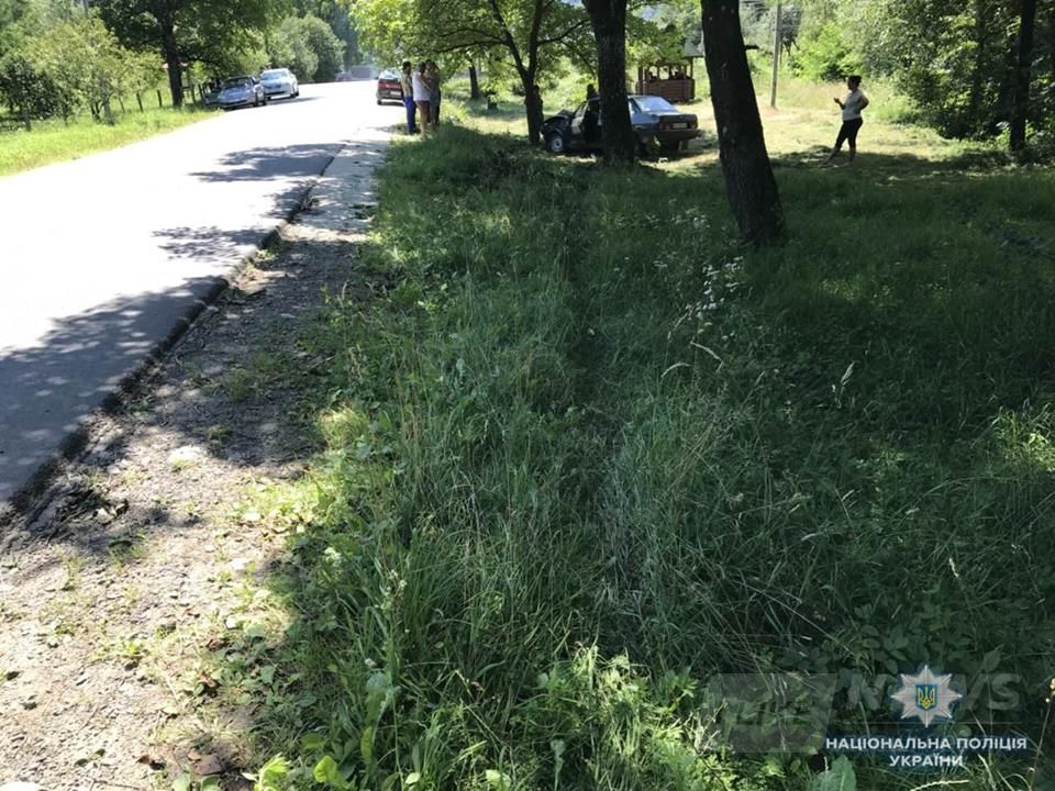 ÐвÑо влеÑÑло в деÑево