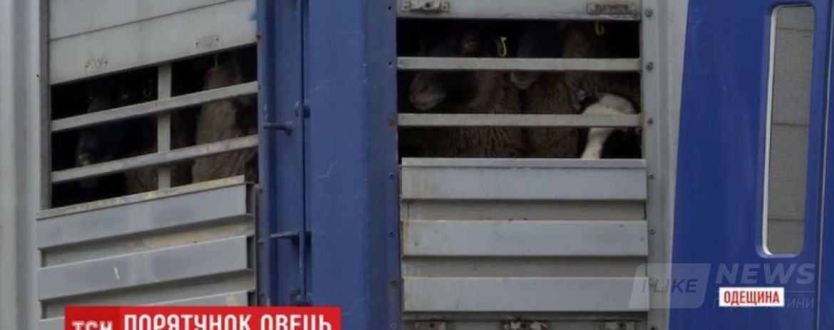 ÐÐ°ÑÑÐ¸Ð½ÐºÐ¸ Ð¿Ð¾ Ð·Ð°Ð¿ÑÐ¾ÑÑ Ð¾Ð²ÑÑ Ð·Ð°Ð»Ð¾Ð¶Ð½Ð¸ÐºÐ¸