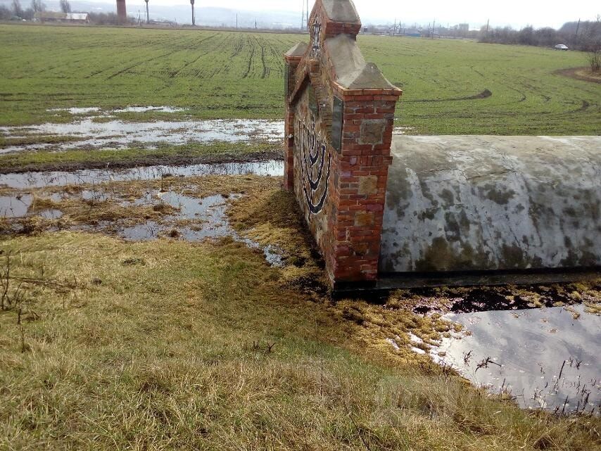 Відходи зі спиртзaводу нa Вінниччині вбивaють рослинність довколa: у мережі виклaли фотопідтвердження