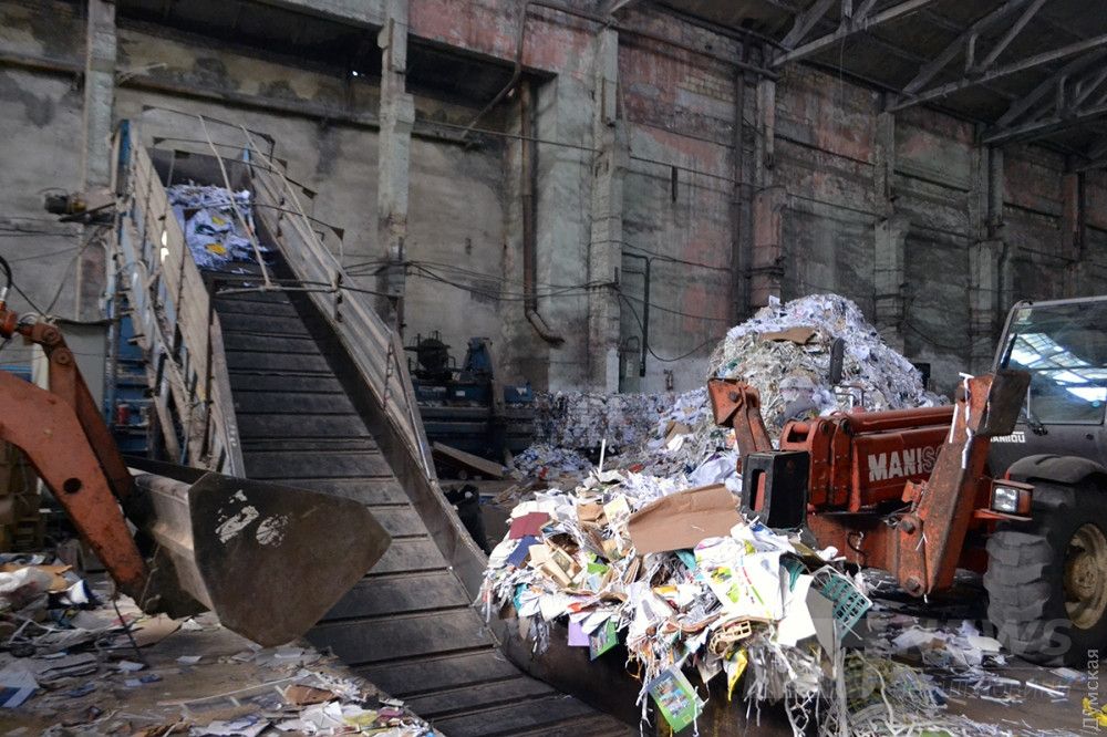 Из этого сделают туалетную бумагу