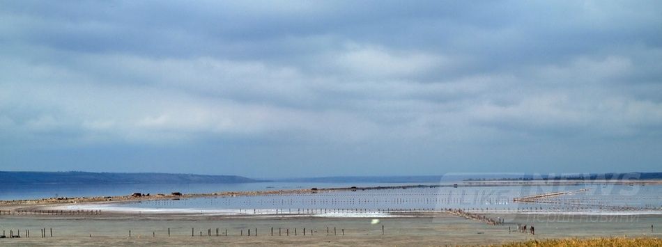 Космические виды Куяльника