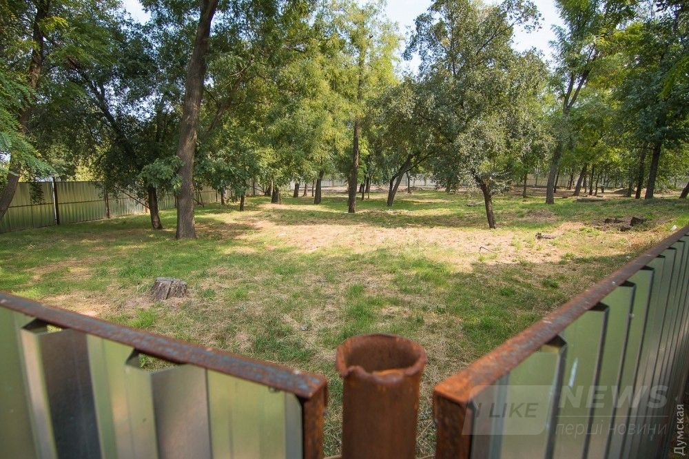 Что здесь появится, непонятно