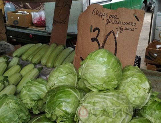 Ð¦ÐµÐ½Ñ Ð² ÐÐ´ÐµÑÑÐµ: ÑÐµÐ´Ð¸ÑÐºÐ° Ð¾Ñ 10 Ð³ÑÐ¸Ð²ÐµÐ½, ÐºÐ°Ð¿ÑÑÑÐ° â 25