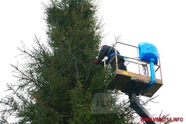 Винница.info: Головну ялинку Вінниці почали прикрашати гірляндами. Фото