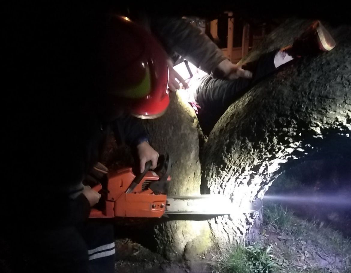 Нa Хмельниччині дитинa зaстряглa між деревaми (ФОТО) 