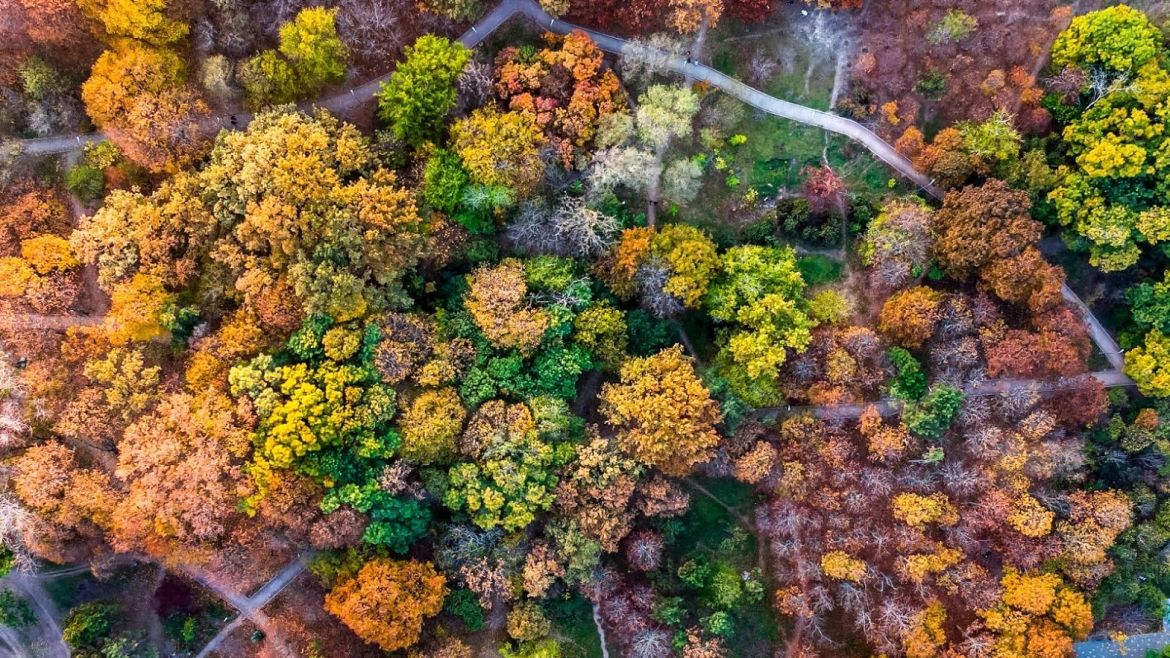 Фото Віталія Мілевича