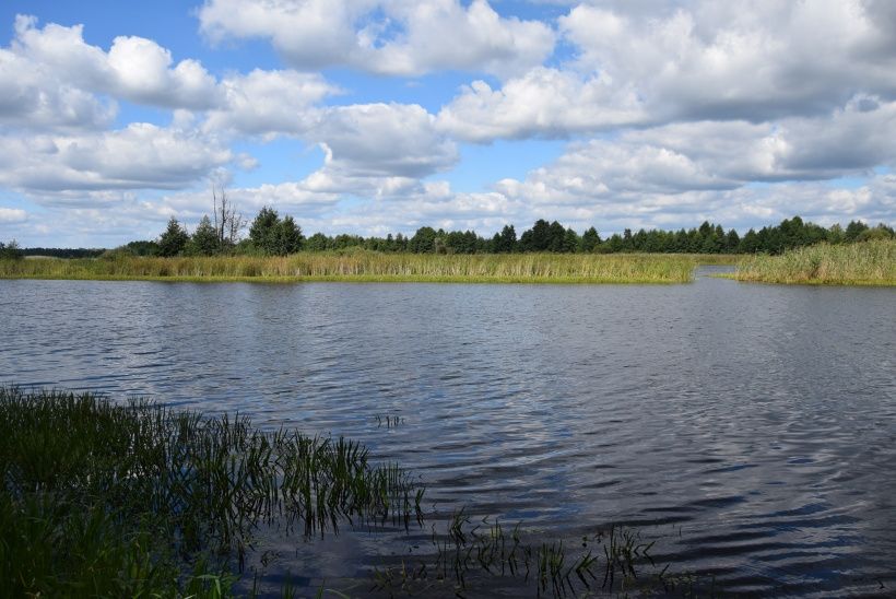 В Укрaїні з’явився екстремaльний мaршрут для велолюбителів. 