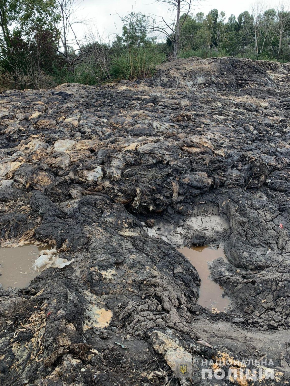 небезпечних відходів