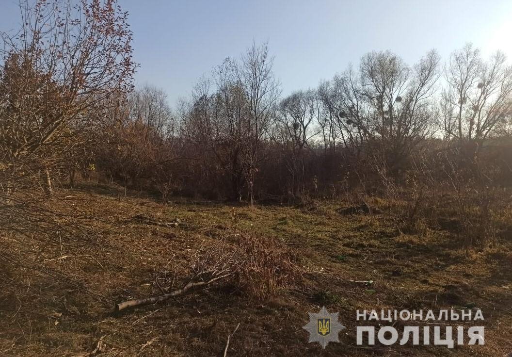 підстрелив 